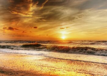 Mielec: Pamiątki czy wspomnienia – co najczęściej wraca z nami z wakacji?