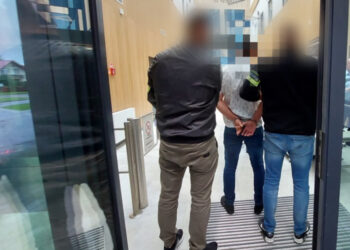 Nisko: Tymczasowy areszt oraz policyjne dozory dla podejrzanych o liczne kradzieże z włamaniem