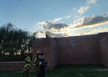 Sandomierz: Drogi żart turysty