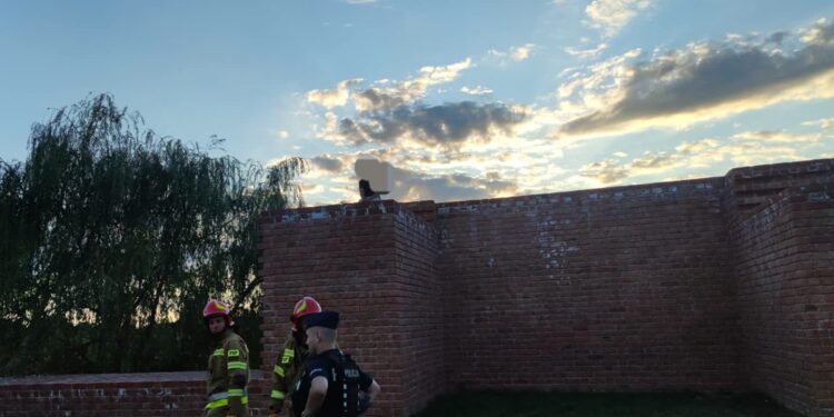 Sandomierz: Drogi żart turysty