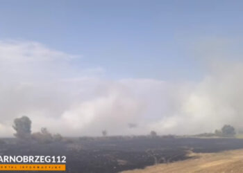 Gorzyce: Strażacy walczą z dużym pożarem