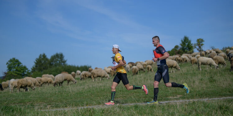 Polska: 16. Festiwal Biegowy w Piwnicznej-Zdroju. Ostatni miesiąc przygotowań