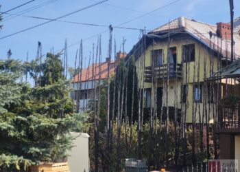 Sandomierz: Pożar domu