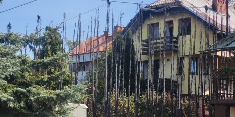 Sandomierz: Pożar domu