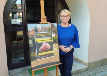 Tarnobrzeg: Skarby ziemi na wyciągnięcie ręki