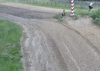 Region: Lepiej nie wchodzić na pas drogi granicznej