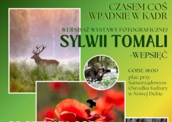 Nowa Dęba. Wystawa fotografii przyrodniczej Sylwii Tomali-Wepsięć
