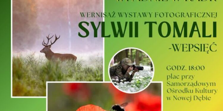 Nowa Dęba. Wystawa fotografii przyrodniczej Sylwii Tomali-Wepsięć