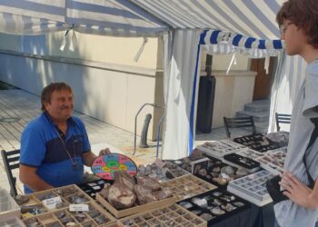 Tarnobrzeg: VI Giełda Minerałów i Skamieniałości