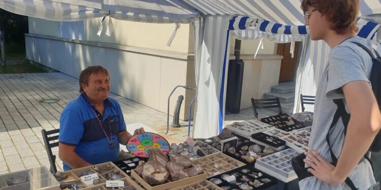 Tarnobrzeg: VI Giełda Minerałów i Skamieniałości