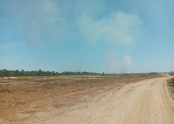 Stalowa Wola. Pożar na poligonie