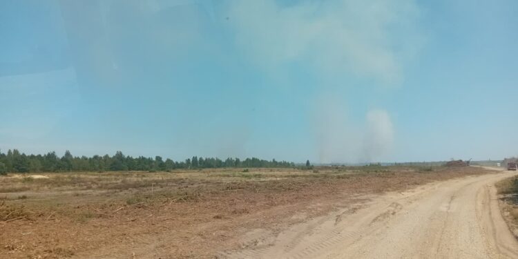 Stalowa Wola. Pożar na poligonie