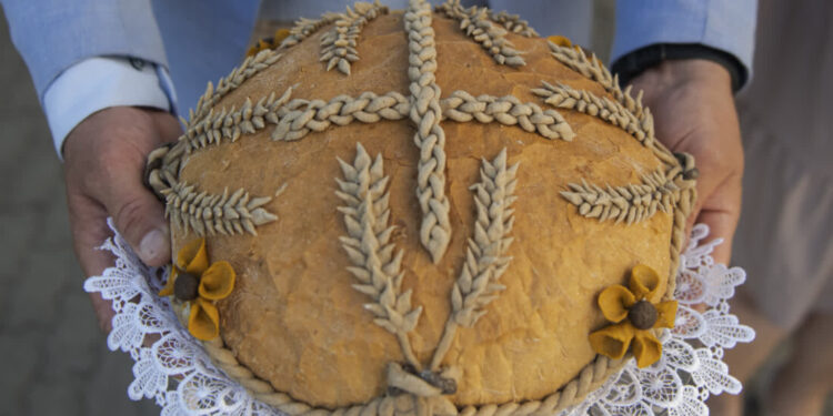 Mielec: Czas podziękować za plony – Dożynki