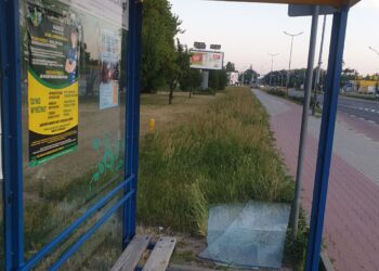 Tarnobrzeg: Przystanki celem wandali