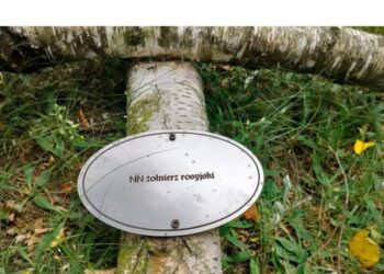 Stalowa Wola: W związku z dewastacją Cmentarza Wojennego w Rozwadowie Policja zwiększy nadzór w tym rejonie