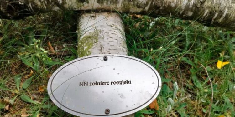 Stalowa Wola: W związku z dewastacją Cmentarza Wojennego w Rozwadowie Policja zwiększy nadzór w tym rejonie