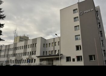 Tarnobrzeg: Dzielnicowa z zarzutami straci pracę w policji