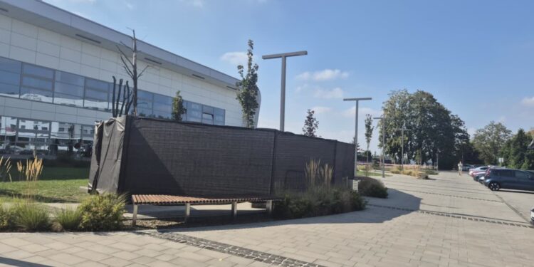 Mielec: Skwer Gwiazd Mieleckiego Sportu