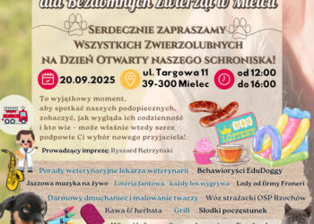 Mielec: Dzień Otwarty w Miejskim Schronisku dla Bezdomnych Zwierząt