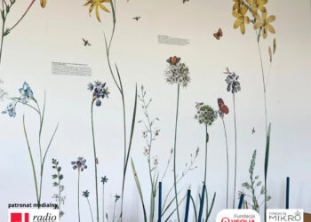 Daromin | Wilczyce: Jak pomóc rolnictwu w obliczu suszy? Szkolne tapety edukacyjne