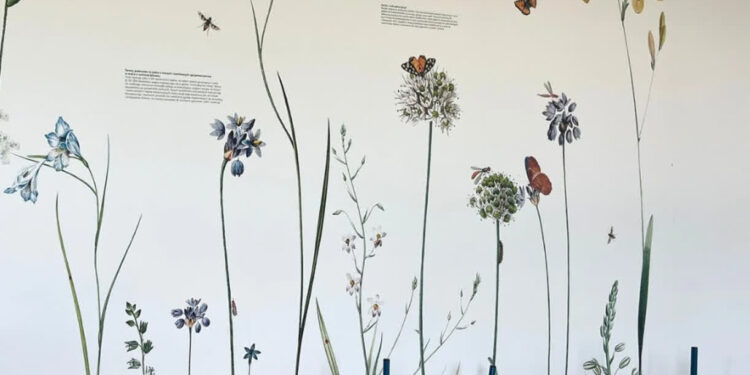 Daromin | Wilczyce: Jak pomóc rolnictwu w obliczu suszy? Szkolne tapety edukacyjne