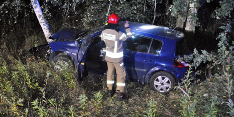 Tarnobrzeg: Niebezpieczne zdarzenie na Wisłostradzie. Dziecko i trzy osoby dorosłe w szpitalu