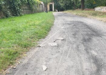 Tarnobrzeg: Spacer w parku z przeszkodami