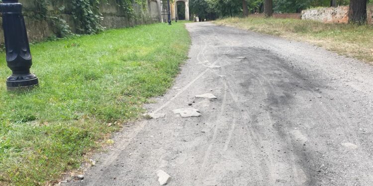 Tarnobrzeg: Spacer w parku z przeszkodami