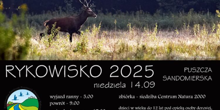 Tarnobrzeg: Usłysz ryk jeleni