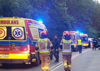 Ulanów: Tragiczny wypadek w Kurzynie Małej – policja wyjasnia okoliczności