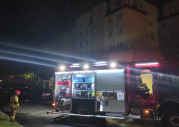 Mielec: Szybka akacja mieleckich strażaków