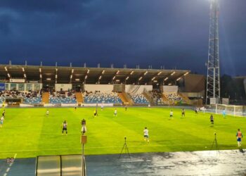 Mielec:  Nie powiodło się  Stali Mielec