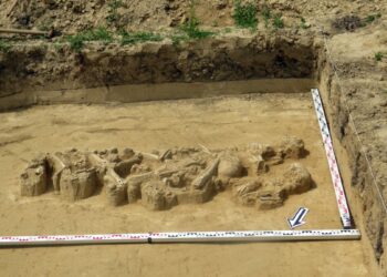 Sandomierz. Niewzykłe znalezisko archeologiczne w Słupczy