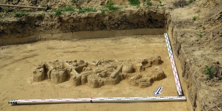 Sandomierz. Niewzykłe znalezisko archeologiczne w Słupczy