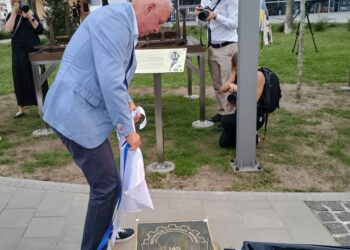 Mielec: Nowa Aleja Gwiazd – co sądzą same gwiazdy?