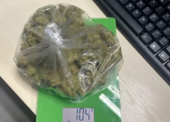 Sandomierz, Obrazów, Dwikozy: Dwa narkotykowe zatrzymania jednego dnia