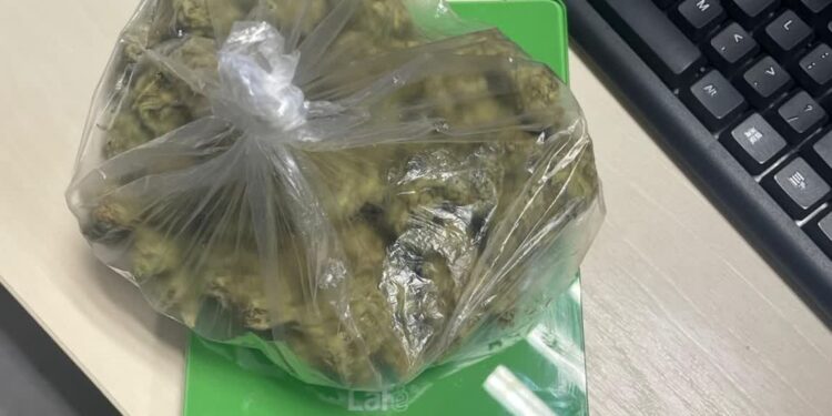 Sandomierz, Obrazów, Dwikozy: Dwa narkotykowe zatrzymania jednego dnia