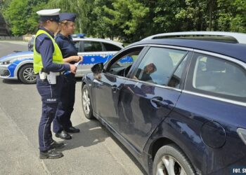 Sandomierz: „Mistrzu, zwolnij”