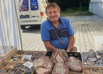 Dąbrowa Tarnowska: Odwiedź Muzeum Agatów i Skamieniałych Drzew