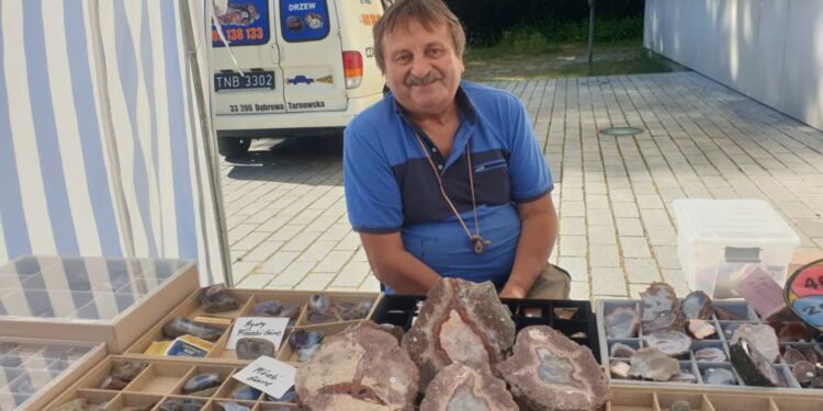 Dąbrowa Tarnowska: Odwiedź Muzeum Agatów i Skamieniałych Drzew