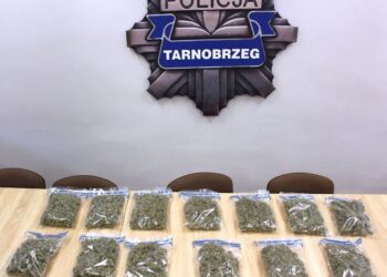 Tarnobrzeg: 3,5 kg narkotyków nie trafiło do obrotu