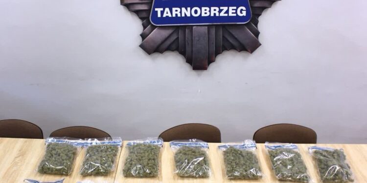 Tarnobrzeg: 3,5 kg narkotyków nie trafiło do obrotu