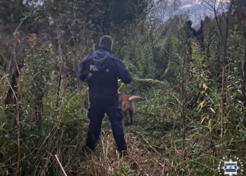 Sandomierz: Szczęśliwy finał poszukiwań zginionego 46-latka