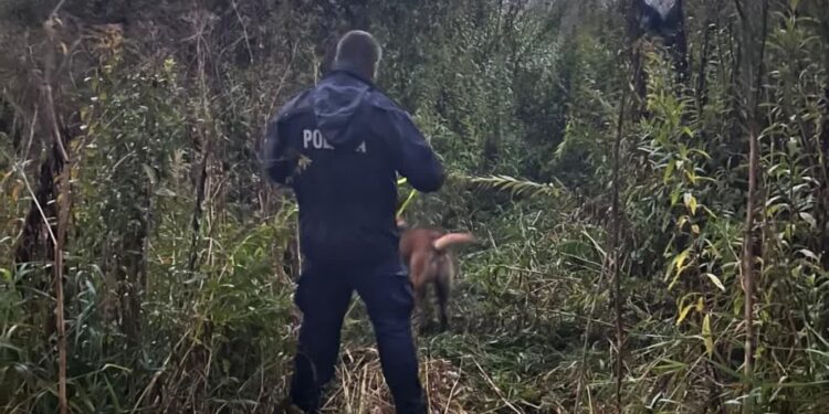 Sandomierz: Szczęśliwy finał poszukiwań zginionego 46-latka