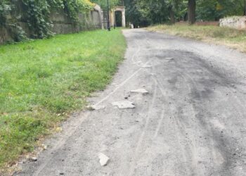Tarnobrzeg: Ścieżki, nowe rośliny, edukacja. Będą zmiany w parku dzikowskim