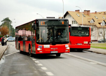 Stalowa Wola, Nisko: Komunikacją miejską na cmentarz 1 i 2 listopada