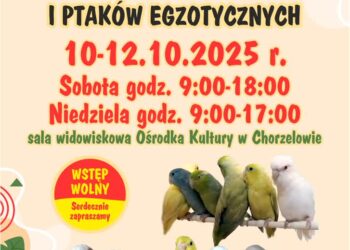Mielec: XXVIII Mistrzostwa Mieleckiego Stowarzyszenia Hodowców Kanarków i Ptaków Egzotycznych