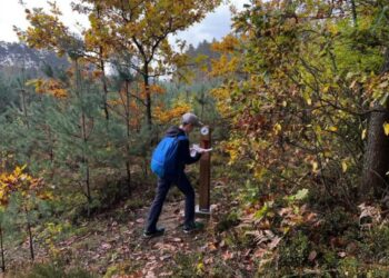 Mielec: Już po raz 12. Mielecki Zielony Punkt Kontrolny