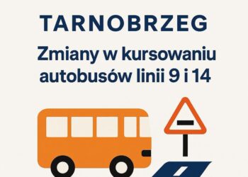 Tarnobrzeg: Objazdy i nowy rozkład jazdy autobusów