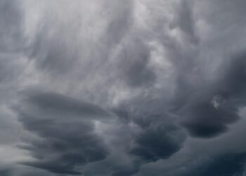 Tarnobrzeg, powiat tarnobrzeski: Drzewa na drogach i uszkodzone linie energetyczne. Skutki silnego wiatru